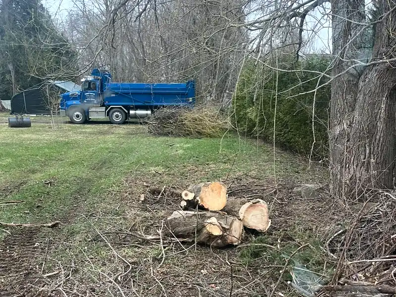Terrain rouvert par l'Entreprise SME : bande de gazon dégagée le long du boisé, bois coupé au sol et camion benne au fond